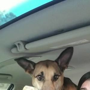 Meet your Posher, Heather